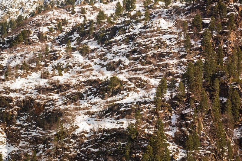 Wilderness